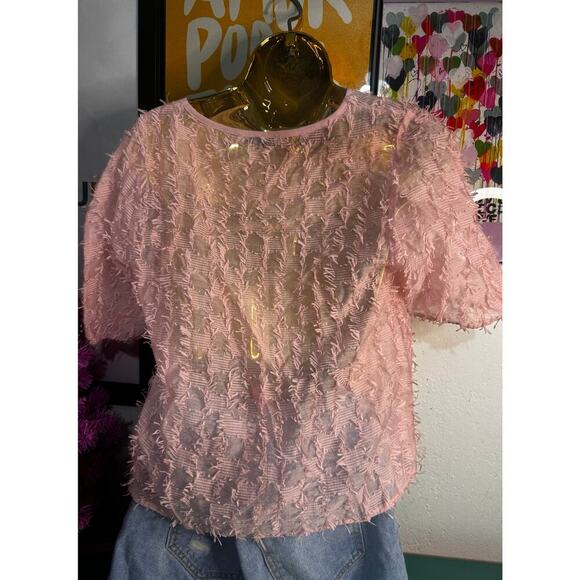 ZARA Pink Sheer Fringe Textured Top | Size L | Statement Piece|Semi-Transparent - Picture 2 of 5